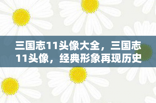 三国志11头像大全,三国志11头像,经典形象再现历史风华 三国志11头像大全,三国志11头像,经典形象再现历史风华