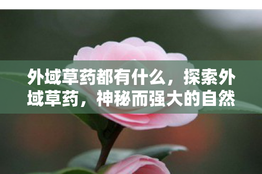 外域草药都有什么,探索外域草药,神秘而强大的自然宝藏 外域草药都有什么,探索外域草药,神秘而强大的自然宝藏