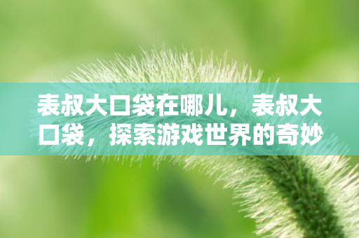 表叔大口袋在哪儿，表叔大口袋，探索游戏世界的奇妙之旅