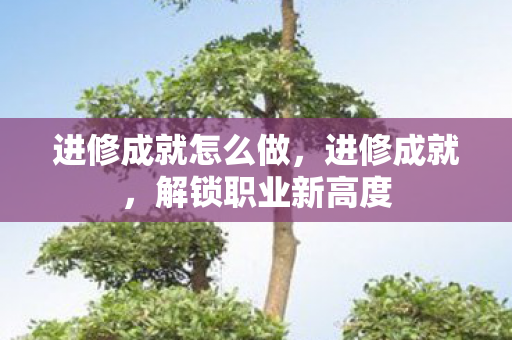 进修成就怎么做,进修成就,解锁职业新高度 进修成就怎么做,进修成就,解锁职业新高度