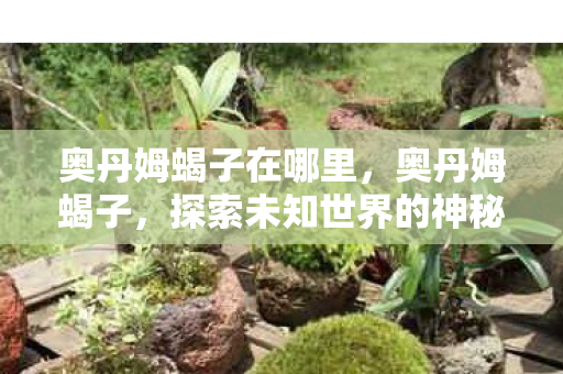 奥丹姆蝎子在哪里,奥丹姆蝎子,探索未知世界的神秘生物 奥丹姆蝎子在哪里,奥丹姆蝎子,探索未知世界的神秘生物