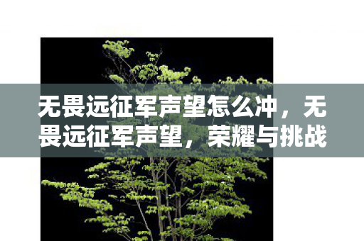 无畏远征军声望怎么冲,无畏远征军声望,荣耀与挑战的征途 无畏远征军声望怎么冲,无畏远征军声望,荣耀与挑战的征途
