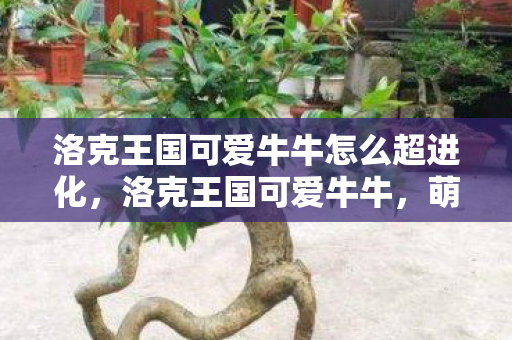 洛克王国可爱牛牛怎么超进化，洛克王国可爱牛牛，萌宠养成新体验
