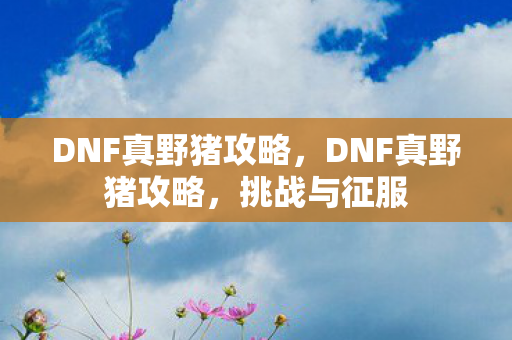 DNF真野猪攻略，DNF真野猪攻略，挑战与征服