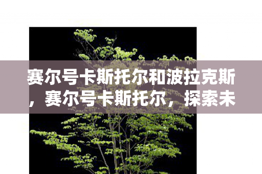 赛尔号卡斯托尔和波拉克斯,赛尔号卡斯托尔,探索未知,挑战极限 赛尔号卡斯托尔和波拉克斯,赛尔号卡斯托尔,探索未知,挑战极限