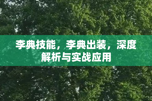 李典技能,李典出装,深度解析与实战应用 李典技能,李典出装,深度解析与实战应用
