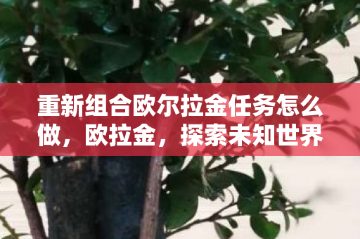 重新组合欧尔拉金任务怎么做,欧拉金,探索未知世界的奇幻之旅 重新组合欧尔拉金任务怎么做,欧拉金,探索未知世界的奇幻之旅