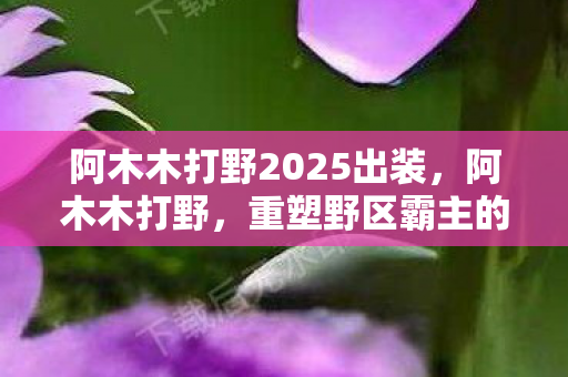 阿木木打野2025出装,阿木木打野,重塑野区霸主的传奇之路 阿木木打野2025出装,阿木木打野,重塑野区霸主的传奇之路