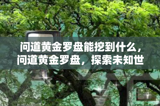 问道黄金罗盘能挖到什么，问道黄金罗盘，探索未知世界的神秘导航