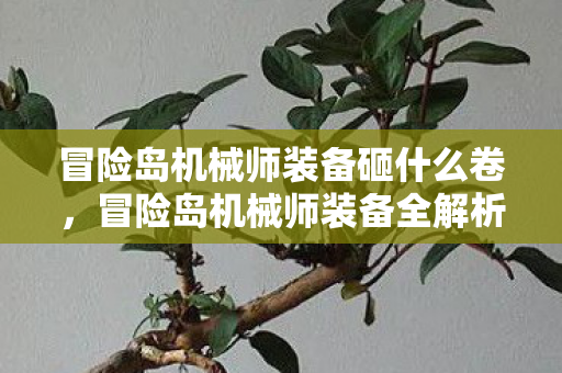 冒险岛机械师装备砸什么卷,冒险岛机械师装备全解析,打造顶尖战斗力的关键 冒险岛机械师装备砸什么卷,冒险岛机械师装备全解析,打造顶尖战斗力的关键