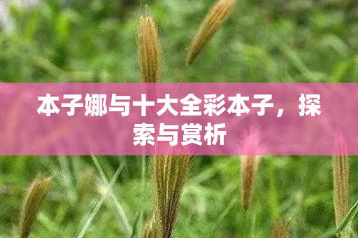 本子娜与十大全彩本子,探索与赏析 本子娜与十大全彩本子,探索与赏析