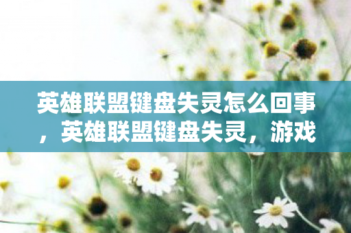 英雄联盟键盘失灵怎么回事,英雄联盟键盘失灵,游戏玩家的困境与解决之道 英雄联盟键盘失灵怎么回事,英雄联盟键盘失灵,游戏玩家的困境与解决之道