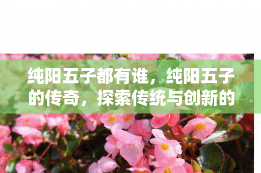 纯阳五子都有谁,纯阳五子的传奇,探索传统与创新的完美融合 纯阳五子都有谁,纯阳五子的传奇,探索传统与创新的完美融合