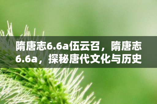 隋唐志6.6a伍云召，隋唐志6.6a，探秘唐代文化与历史的瑰宝