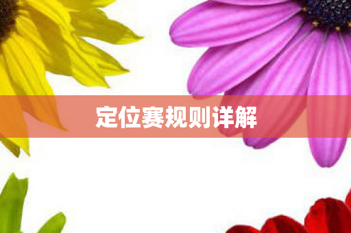 定位赛规则详解 定位赛规则详解