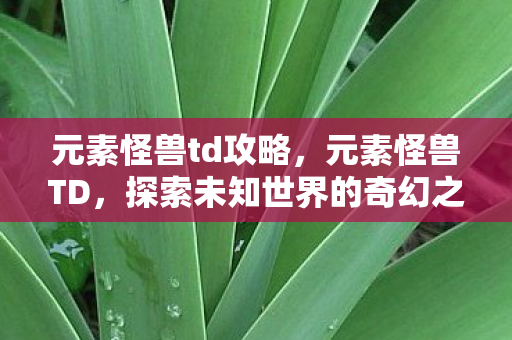 元素怪兽td攻略，元素怪兽TD，探索未知世界的奇幻之旅
