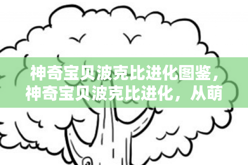 神奇宝贝波克比进化图鉴，神奇宝贝波克比进化，从萌宠到战斗巨星的蜕变