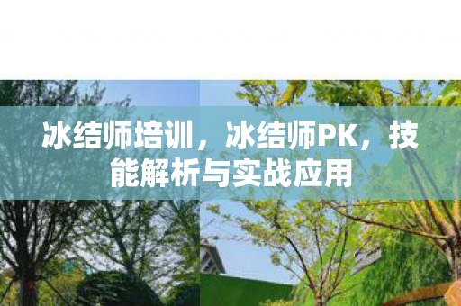 冰结师培训,冰结师PK,技能解析与实战应用 冰结师培训,冰结师PK,技能解析与实战应用