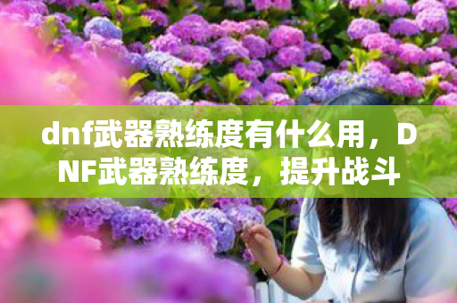 dnf武器熟练度有什么用,DNF武器熟练度,提升战斗力的关键要素 dnf武器熟练度有什么用,DNF武器熟练度,提升战斗力的关键要素