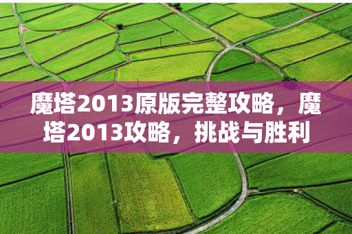 魔塔2013原版完整攻略,魔塔2013攻略,挑战与胜利的秘诀 魔塔2013原版完整攻略,魔塔2013攻略,挑战与胜利的秘诀