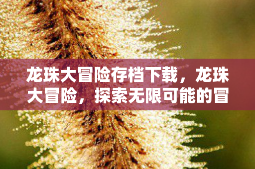 龙珠大冒险存档下载,龙珠大冒险,探索无限可能的冒险存档 龙珠大冒险存档下载,龙珠大冒险,探索无限可能的冒险存档