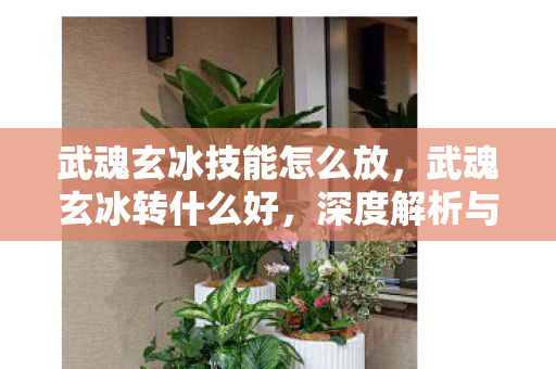 武魂玄冰技能怎么放，武魂玄冰转什么好，深度解析与策略建议