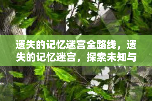 遗失的记忆迷宫全路线,遗失的记忆迷宫,探索未知与回忆的奇幻之旅 遗失的记忆迷宫全路线,遗失的记忆迷宫,探索未知与回忆的奇幻之旅