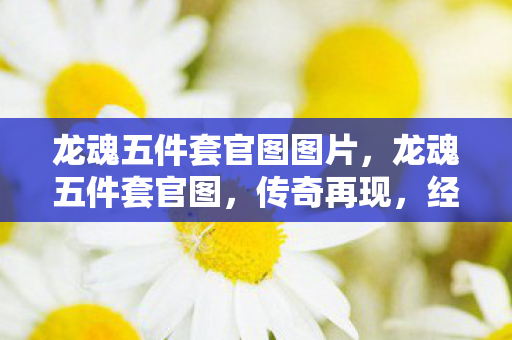 龙魂五件套官图图片,龙魂五件套官图,传奇再现,经典永存 龙魂五件套官图图片,龙魂五件套官图,传奇再现,经典永存