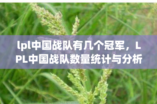 lpl中国战队有几个冠军,LPL中国战队数量统计与分析 lpl中国战队有几个冠军,LPL中国战队数量统计与分析