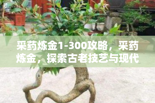 采药炼金1-300攻略,采药炼金,探索古老技艺与现代科技的融合 采药炼金1-300攻略,采药炼金,探索古老技艺与现代科技的融合