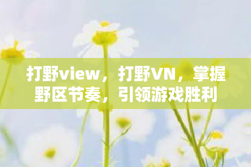 打野view,打野VN,掌握野区节奏,引领游戏胜利 打野view,打野VN,掌握野区节奏,引领游戏胜利