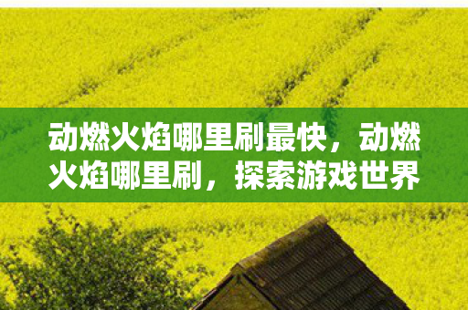 动燃火焰哪里刷最快,动燃火焰哪里刷,探索游戏世界的神秘火焰 动燃火焰哪里刷最快,动燃火焰哪里刷,探索游戏世界的神秘火焰