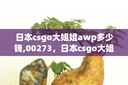 日本csgo大姐姐awp多少钱,00273，日本csgo大姐姐AWP价格揭秘，珍贵收藏与价格趋势