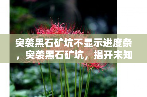 突袭黑石矿坑不显示进度条,突袭黑石矿坑,揭开未知世界的神秘面纱 突袭黑石矿坑不显示进度条,突袭黑石矿坑,揭开未知世界的神秘面纱