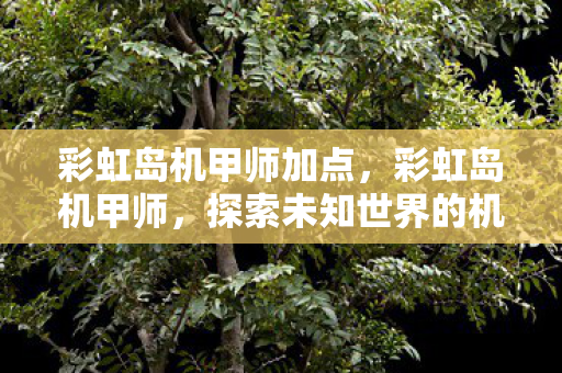 彩虹岛机甲师加点,彩虹岛机甲师,探索未知世界的机械战士 彩虹岛机甲师加点,彩虹岛机甲师,探索未知世界的机械战士