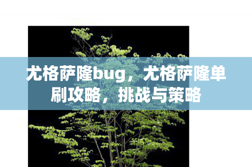 尤格萨隆bug,尤格萨隆单刷攻略,挑战与策略 尤格萨隆bug,尤格萨隆单刷攻略,挑战与策略