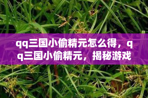 qq三国小偷精元怎么得，qq三国小偷精元，揭秘游戏中的神秘元素