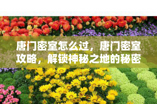 唐门密室怎么过,唐门密室攻略,解锁神秘之地的秘密 唐门密室怎么过,唐门密室攻略,解锁神秘之地的秘密