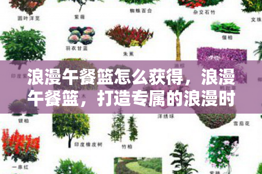 浪漫午餐篮怎么获得，浪漫午餐篮，打造专属的浪漫时光