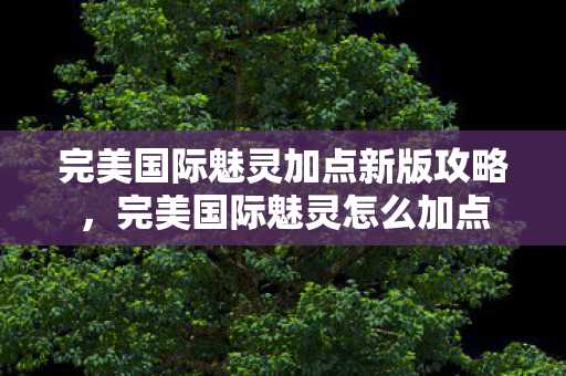 完美国际魅灵加点新版攻略,完美国际魅灵怎么加点 完美国际魅灵加点新版攻略,完美国际魅灵怎么加点