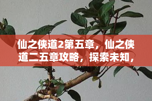 仙之侠道2第五章，仙之侠道二五章攻略，探索未知，挑战极限