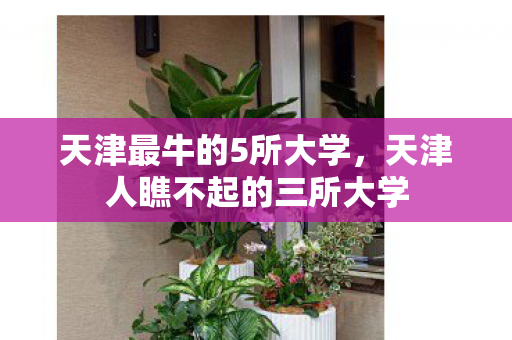 天津最牛的5所大学,天津人瞧不起的三所大学 天津最牛的5所大学,天津人瞧不起的三所大学