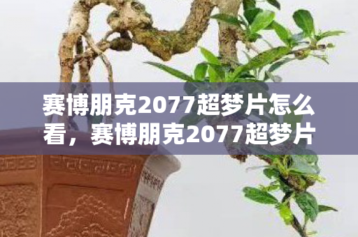 赛博朋克2077超梦片怎么看，赛博朋克2077超梦片，虚拟现实中的梦幻之旅