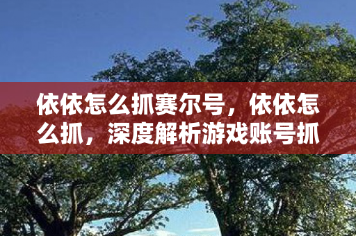 依依怎么抓赛尔号，依依怎么抓，深度解析游戏账号抓取策略