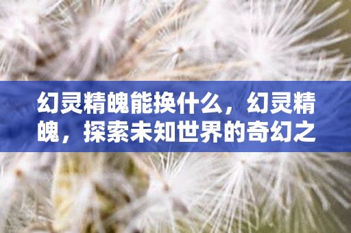 幻灵精魄能换什么,幻灵精魄,探索未知世界的奇幻之旅 幻灵精魄能换什么,幻灵精魄,探索未知世界的奇幻之旅