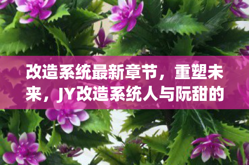 改造系统最新章节,重塑未来,JY改造系统人与阮甜的奇幻之旅 改造系统最新章节,重塑未来,JY改造系统人与阮甜的奇幻之旅