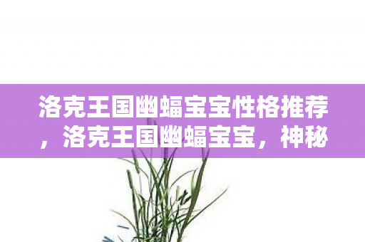 洛克王国幽蝠宝宝性格推荐,洛克王国幽蝠宝宝,神秘与力量的化身 洛克王国幽蝠宝宝性格推荐,洛克王国幽蝠宝宝,神秘与力量的化身