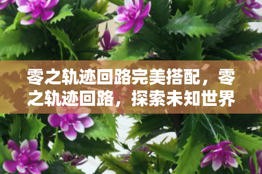 零之轨迹回路完美搭配,零之轨迹回路,探索未知世界的神秘之旅 零之轨迹回路完美搭配,零之轨迹回路,探索未知世界的神秘之旅