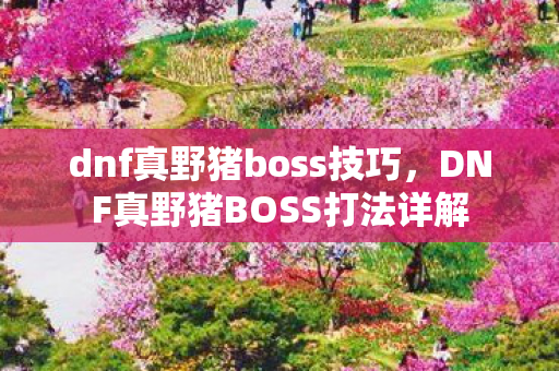dnf真野猪boss技巧,DNF真野猪BOSS打法详解 dnf真野猪boss技巧,DNF真野猪BOSS打法详解