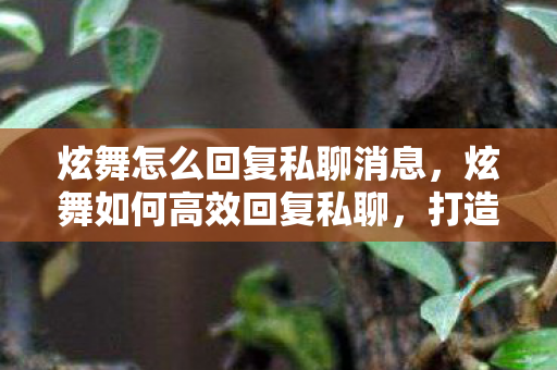 炫舞怎么回复私聊消息，炫舞如何高效回复私聊，打造流畅沟通体验